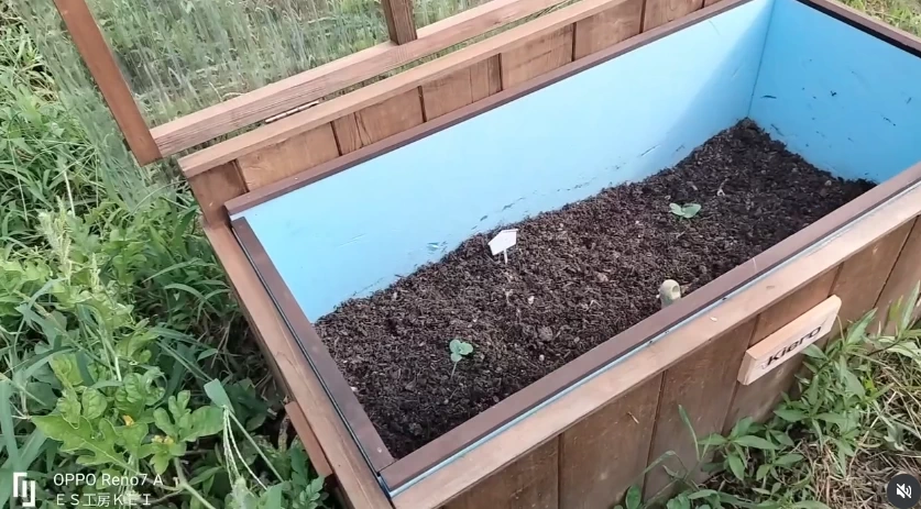 ���[�U�[�ʐ^